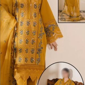 BIN ILYAS LAWN ORGANZA