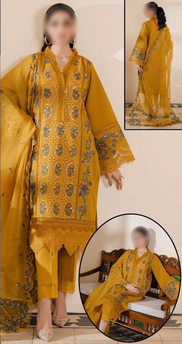 BIN ILYAS LAWN ORGANZA
